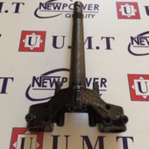 100 CUP ON MASA ALT PLATIN