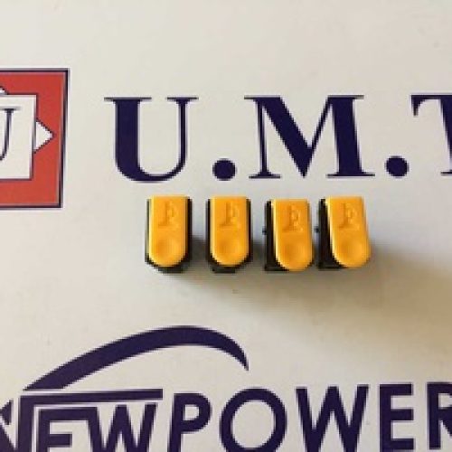 100 KH.KORNA DUGMESI